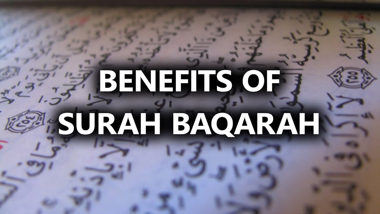 Benefits of Surah alBaqarah (The Cow) Reciting and benefits Benefits of Surah alBaqarah (The Cow) Reciting and benefits