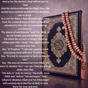 english translation of surah jinn