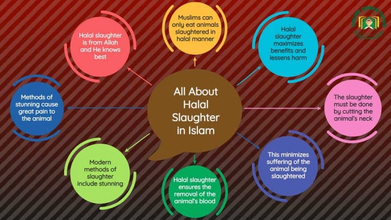 All About Halal Slaughter in Islam | Quran For kids
